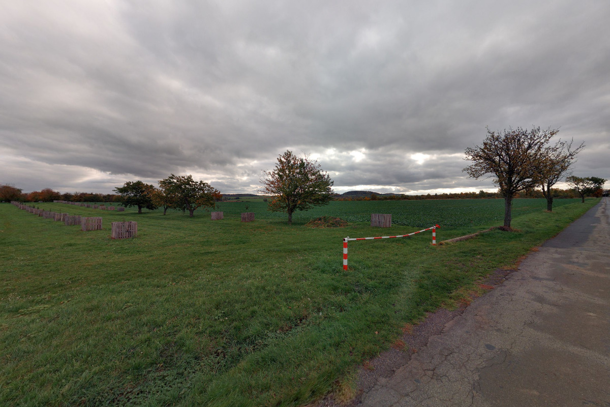 Samosběr třešní Sad Hranice foto 2