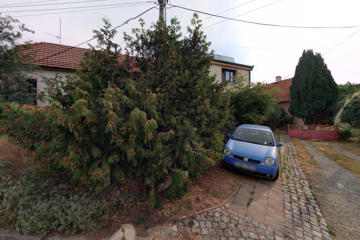 Ostrá Mokrá foto 4