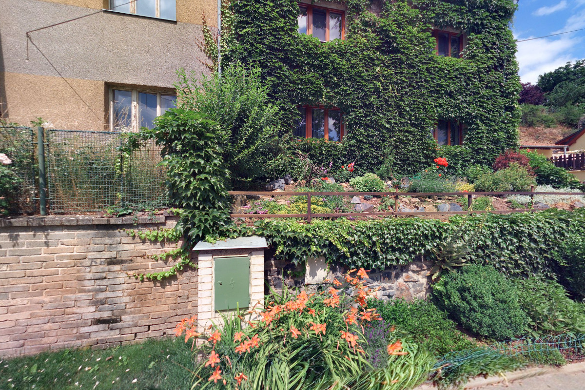 Pro Foto – Richard Dvořák