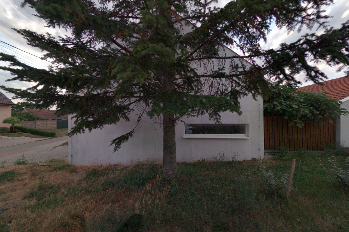 Vladislava Vaněčková