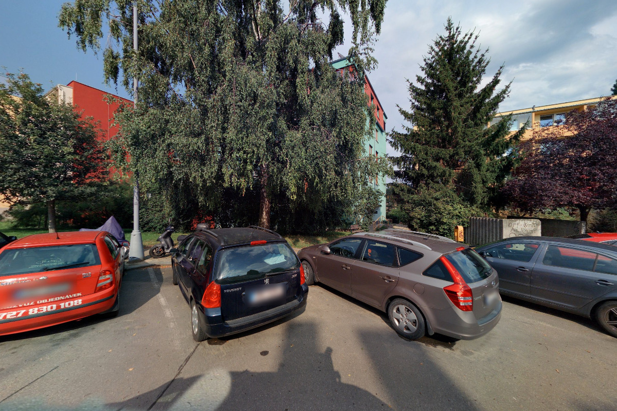 Gabriela Zegotová foto 1