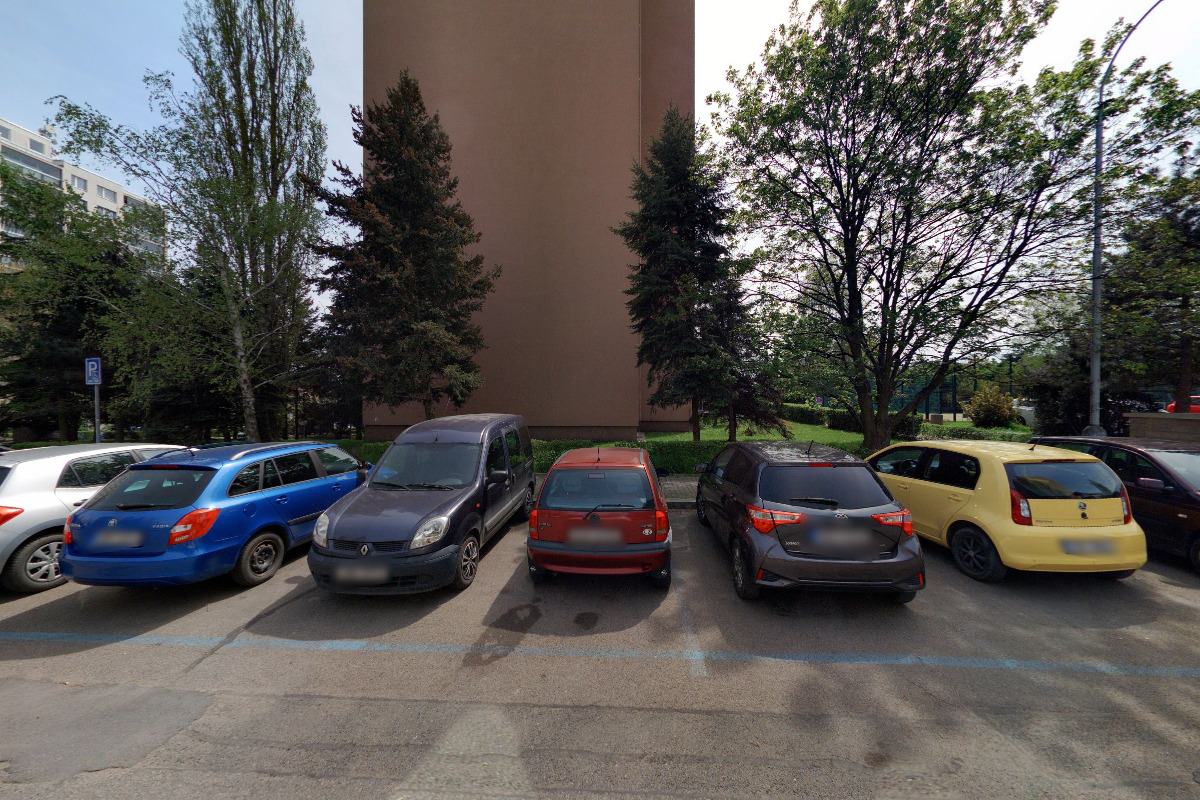 DELISA - deratizace, likvidace, sanace foto 5