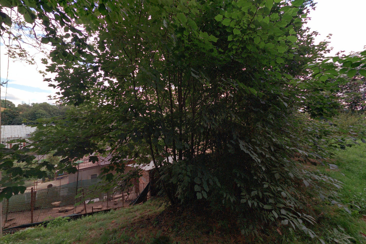 Novotny-tcm.cz foto 2