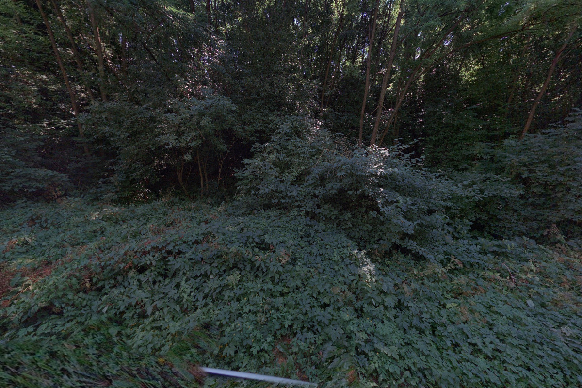 TJ Sokol Rebešovice foto 2