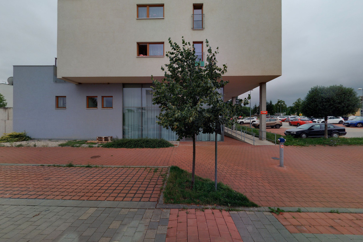 Mirka Engelová - Zrozeni k pohybu foto 4