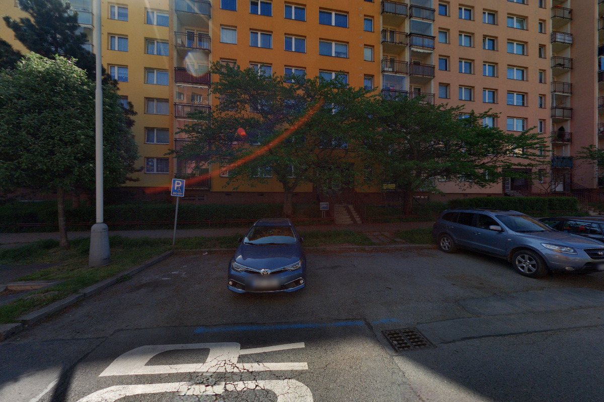 Radka Brabcová - Stříhání pejsků foto 2