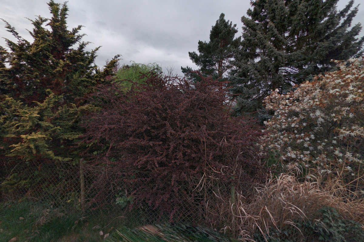 Matěj Kryštof Řešátko