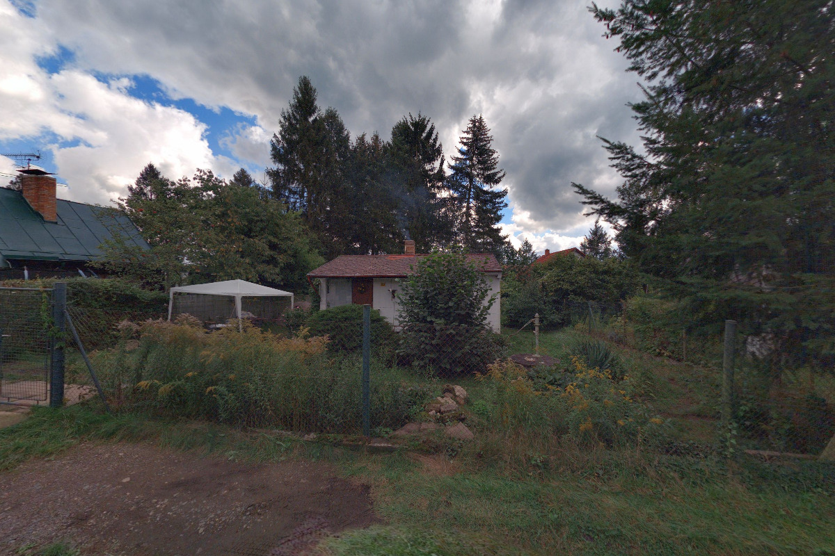 Ljuba Axmannová - Astrologická praxe