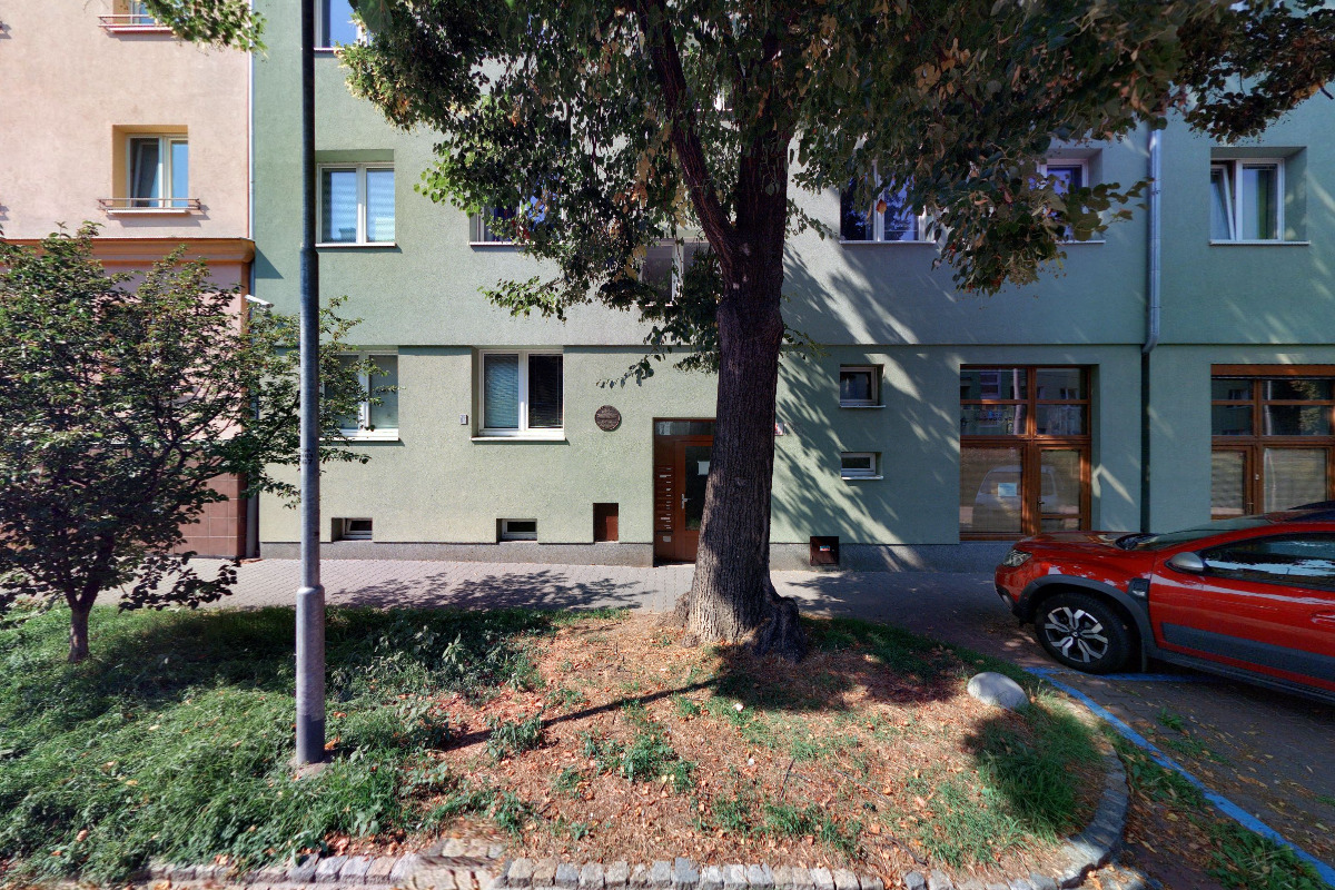 Anna Vávrová - kineziologie foto 2