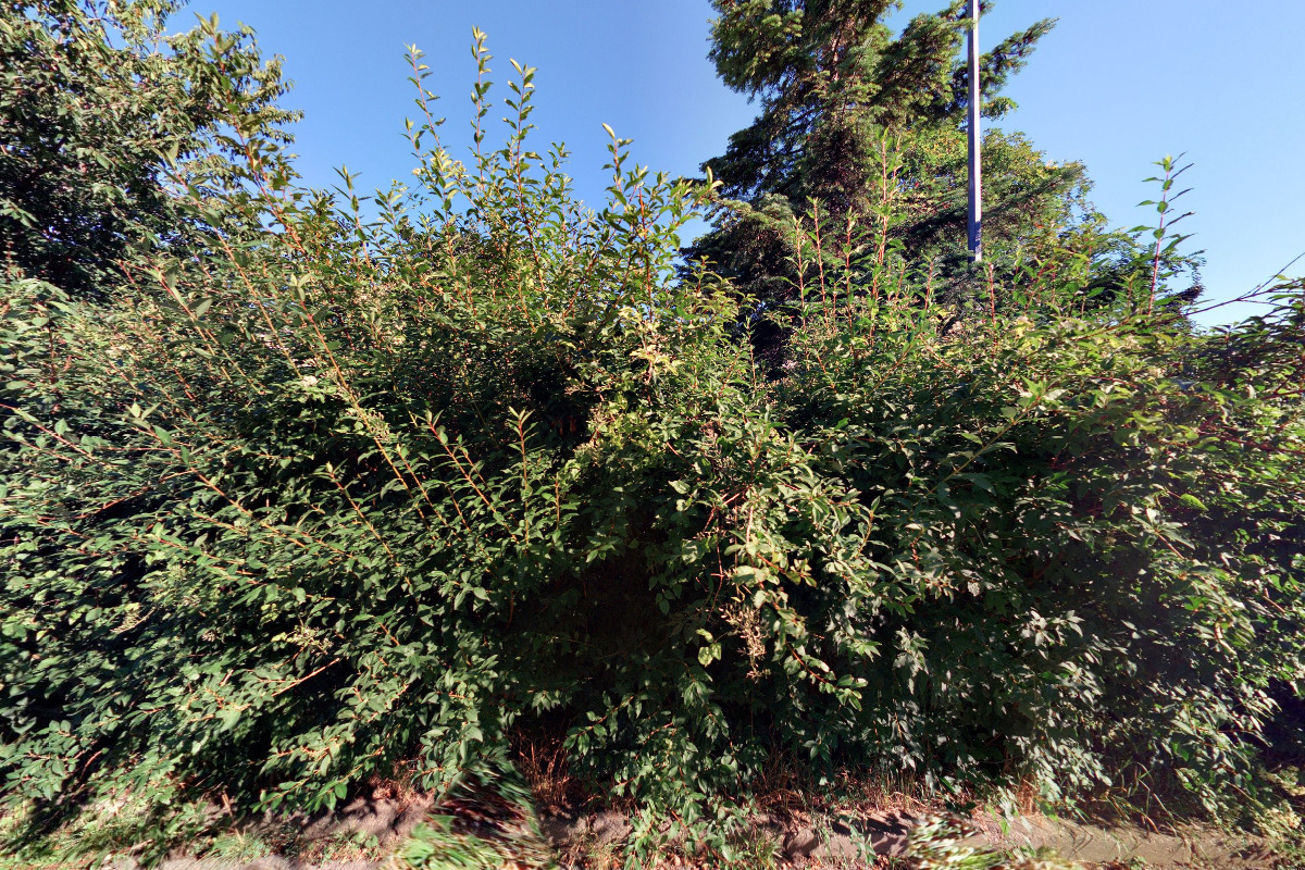 Potraviny Na úlehli