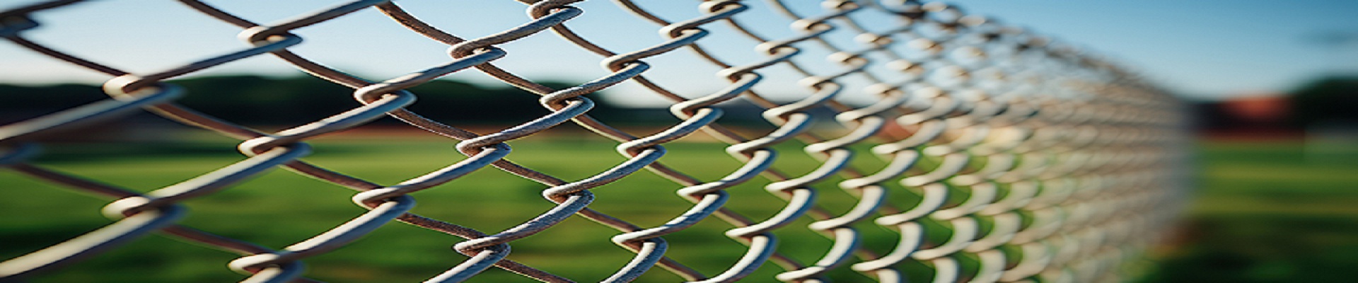 Úvodní obrázek Petr Hanák - HK ploty