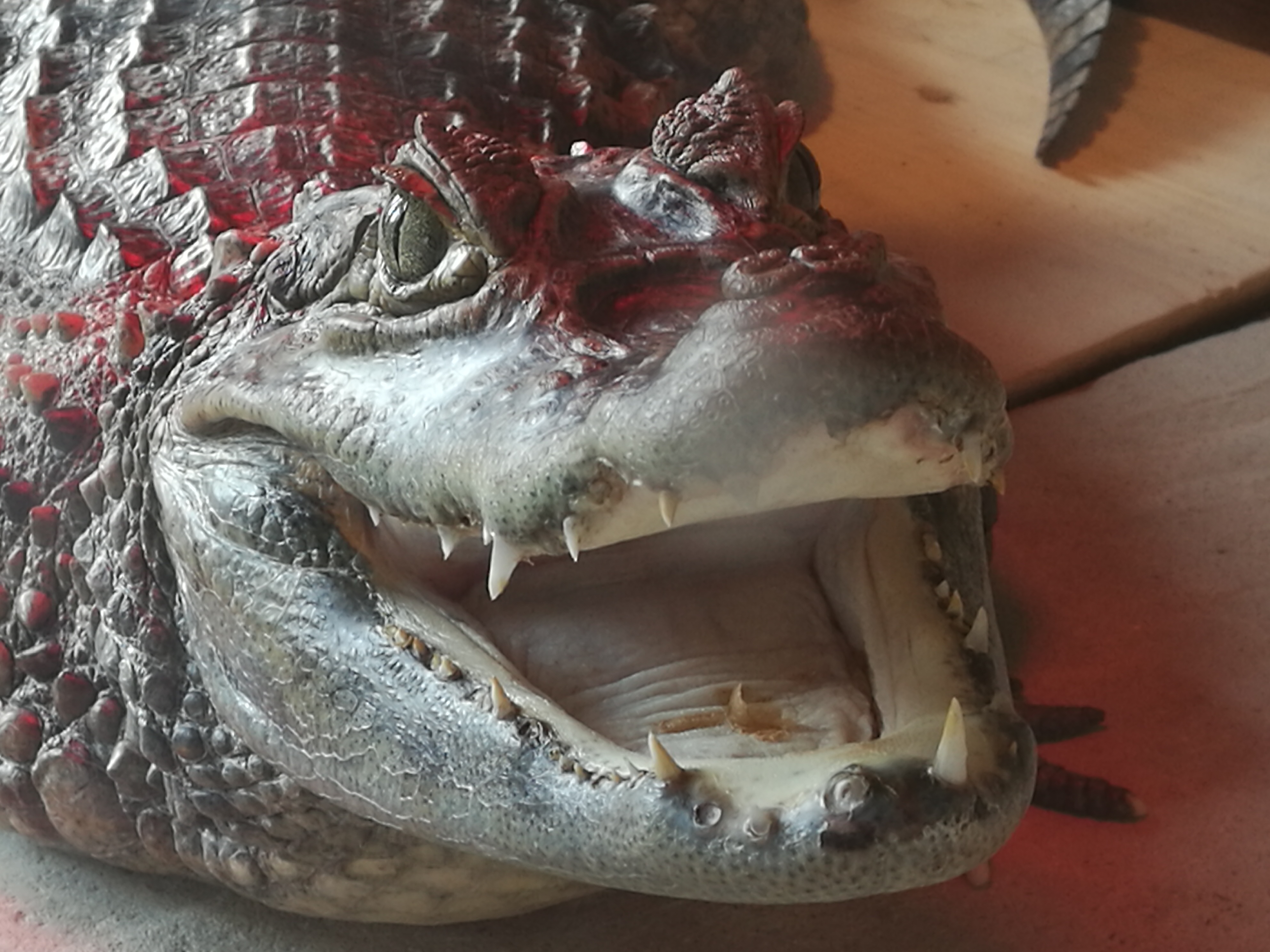 Vodní MiniZOO Baška foto 2