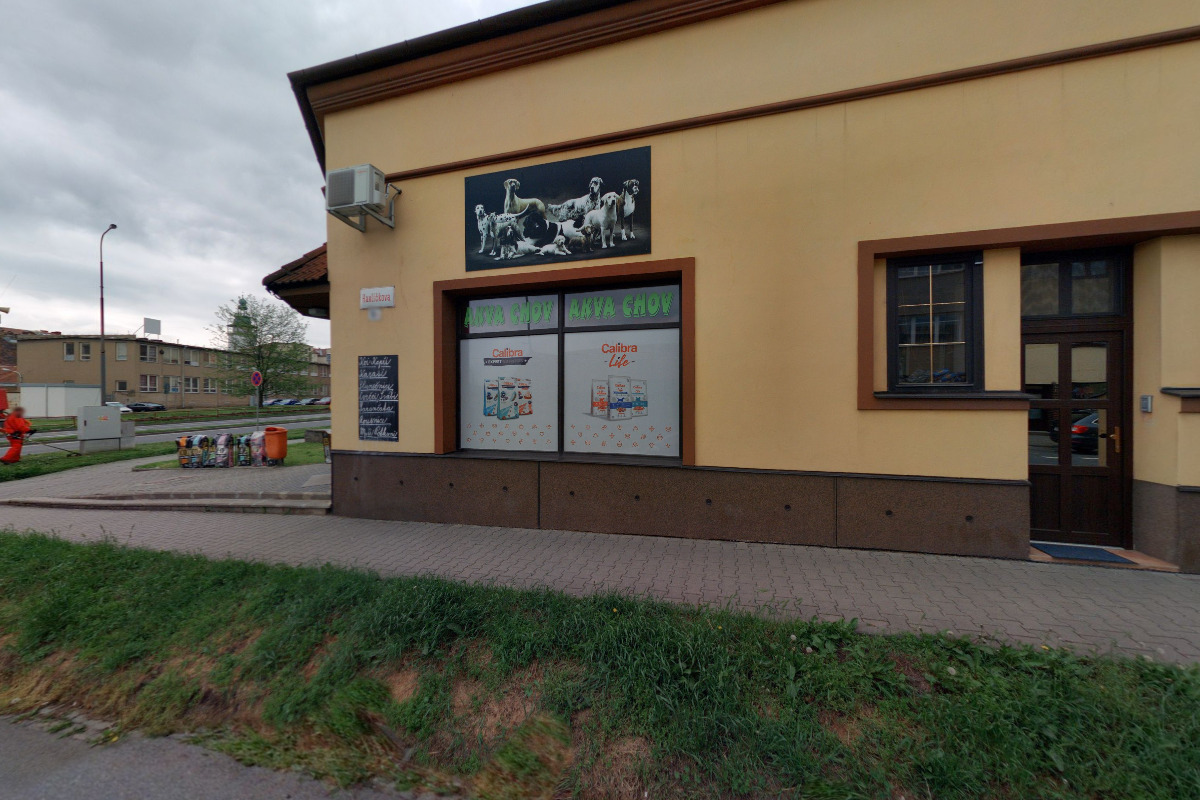 Zverima foto 2