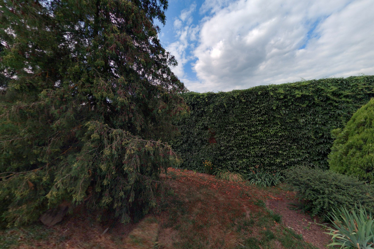 Rizikové kácení Richard Koudelka foto 2