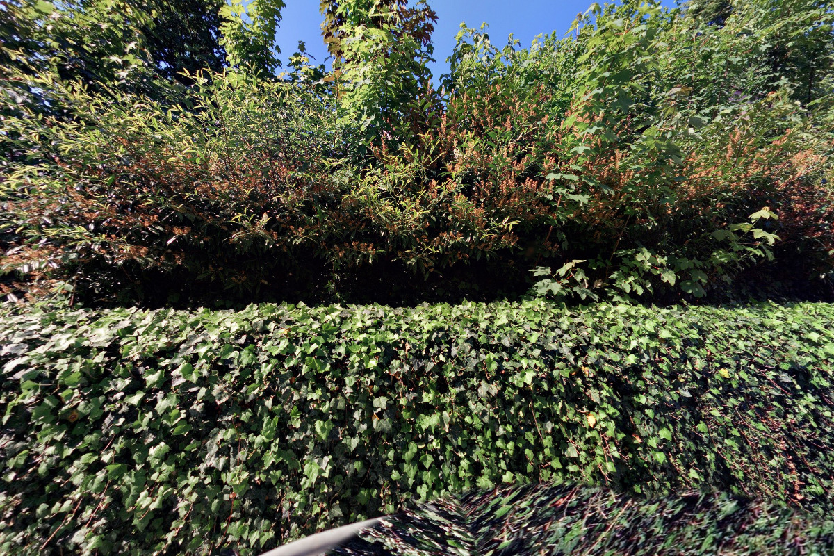 MUDr. Michaela Vávrová