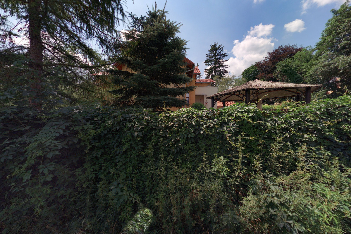 Vědomé Mistrovství Božena Papáčková