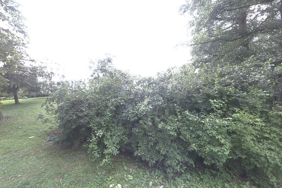 Český rybářský svaz, z. s., místní organizace Česká Třebová