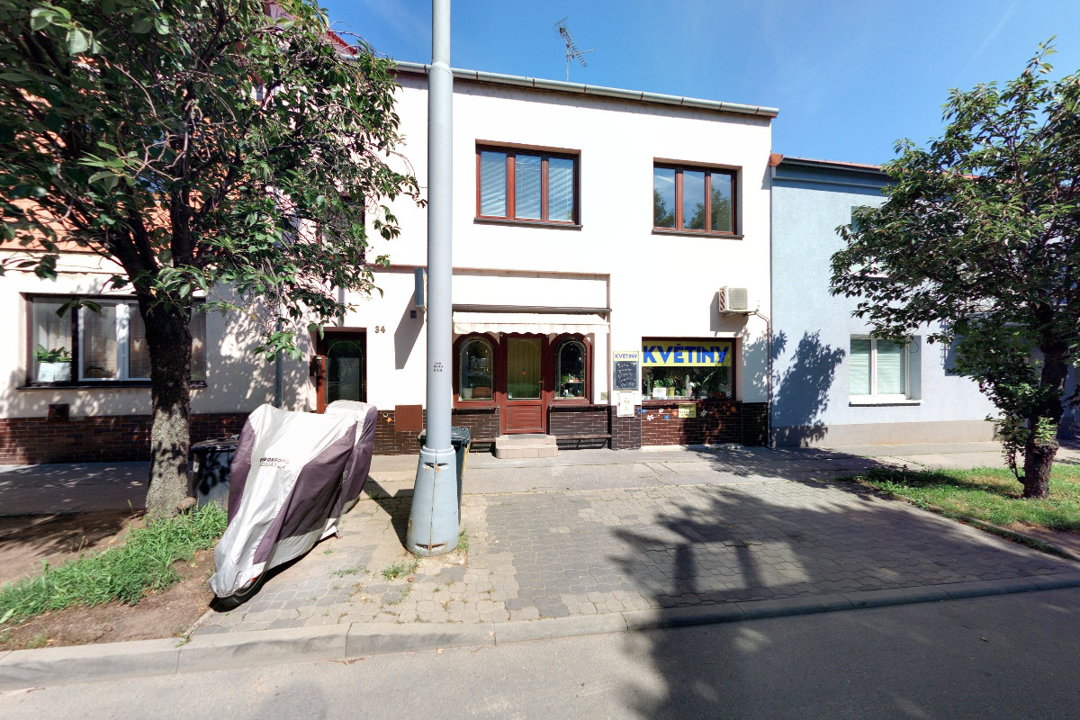 Květiny Alexandra foto 4