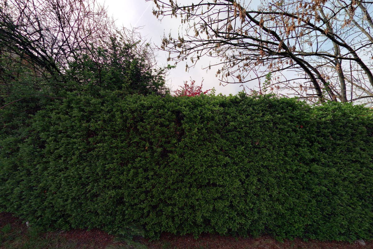 Český červený kříž foto 3