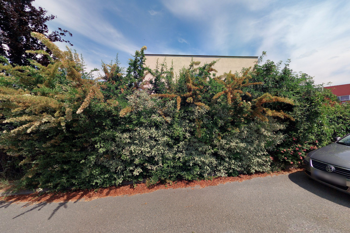 Internetový marketing - Monika Slavíková