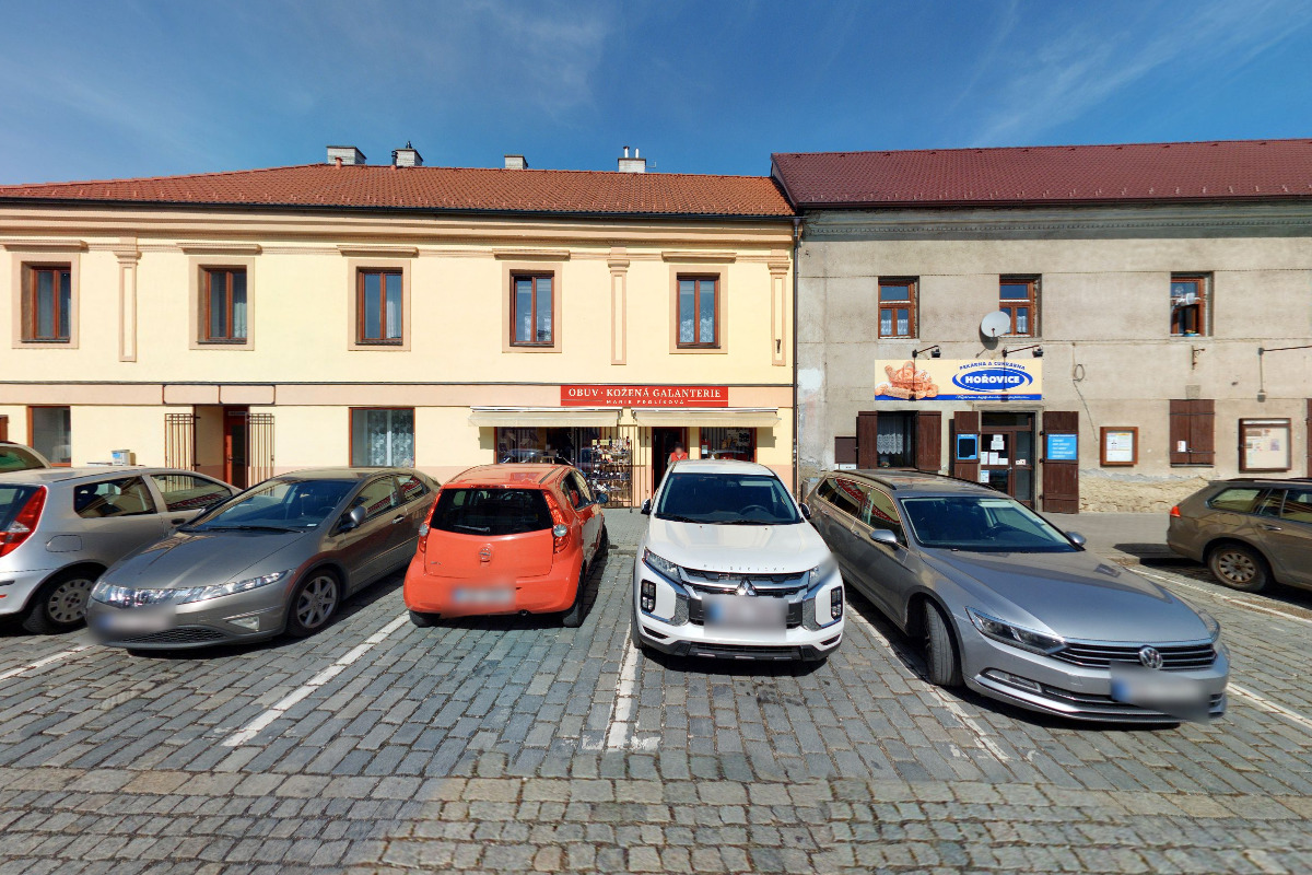 Kohoutek a slepička