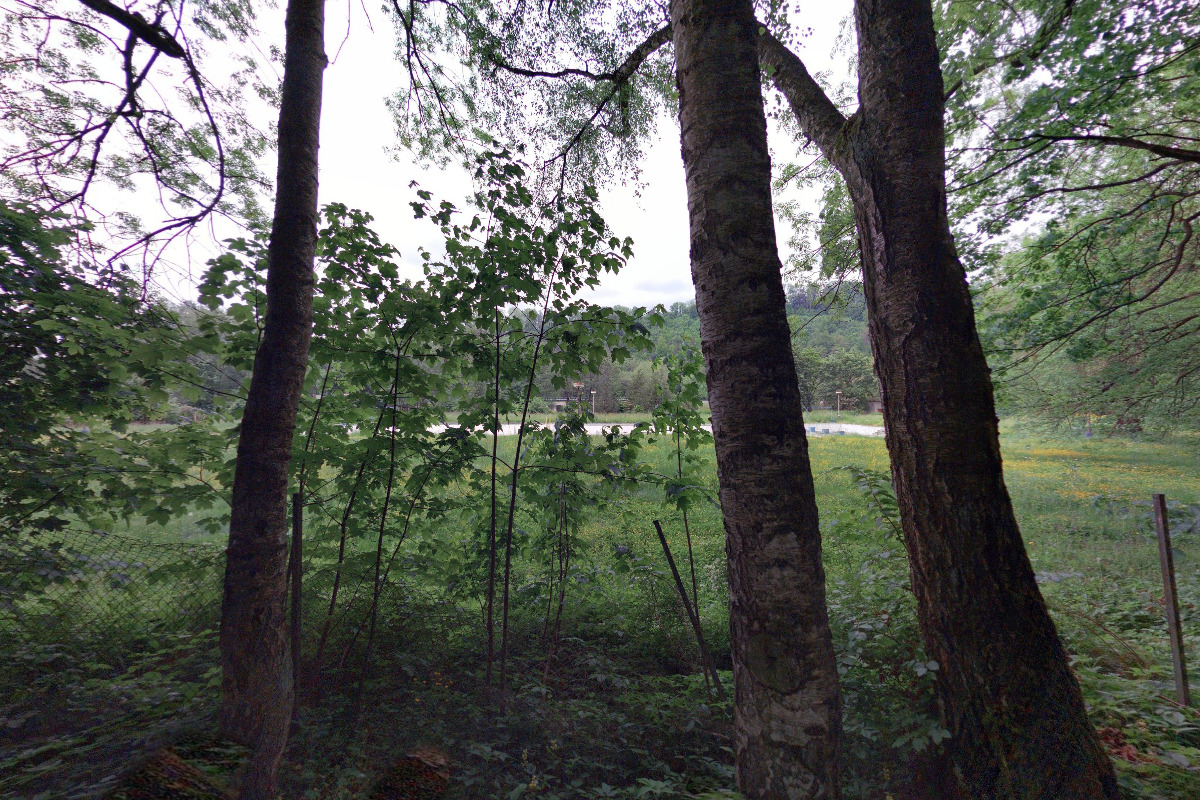 Koupaliště Brandýs nad Orlicí