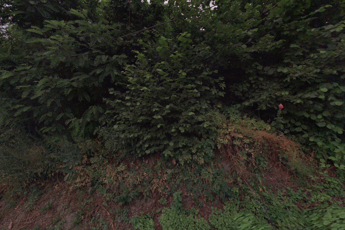 Endless Summer surf & travel agency