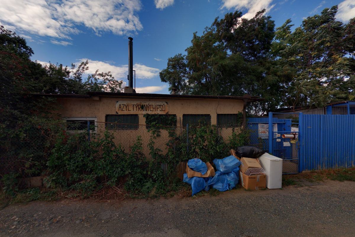 Azyl opuštěných zvířat foto 1