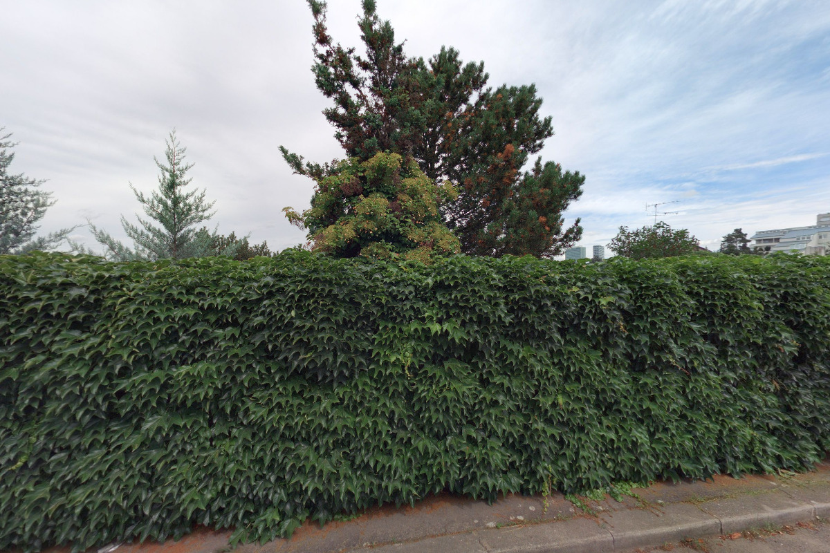 L.L.V.K. BANÁNY, s.r.o. foto 1