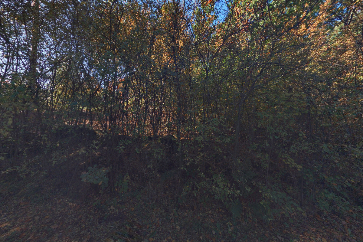 Klub potápěčů POTYA foto 5