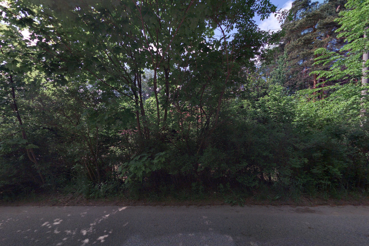 Nadační fond Františka Buriana