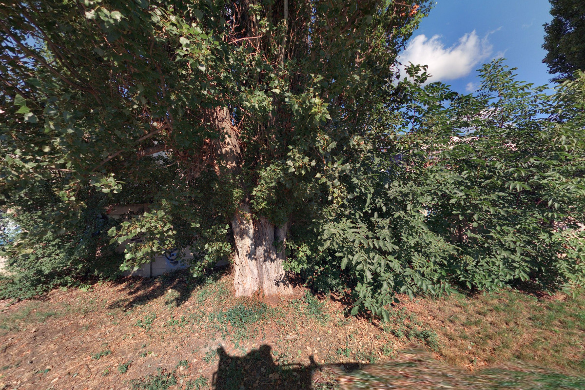 A.B.S. Kovomont, s.r.o.