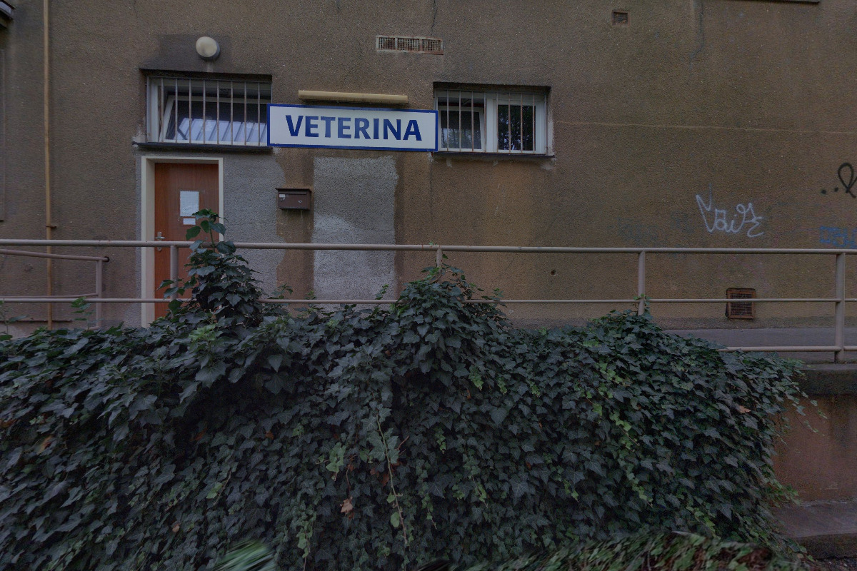 Mgr. Šárka Podlenová, advokátka foto 2