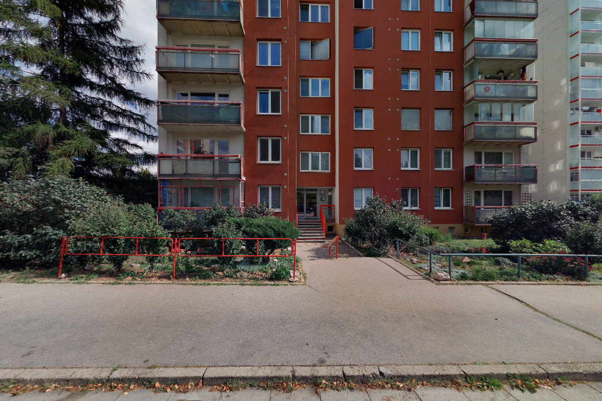 Cocktail Servis & bartender's flair show