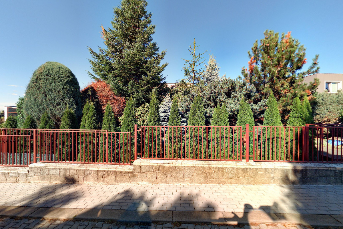 JUDr. Věra Sedloňová, advokát