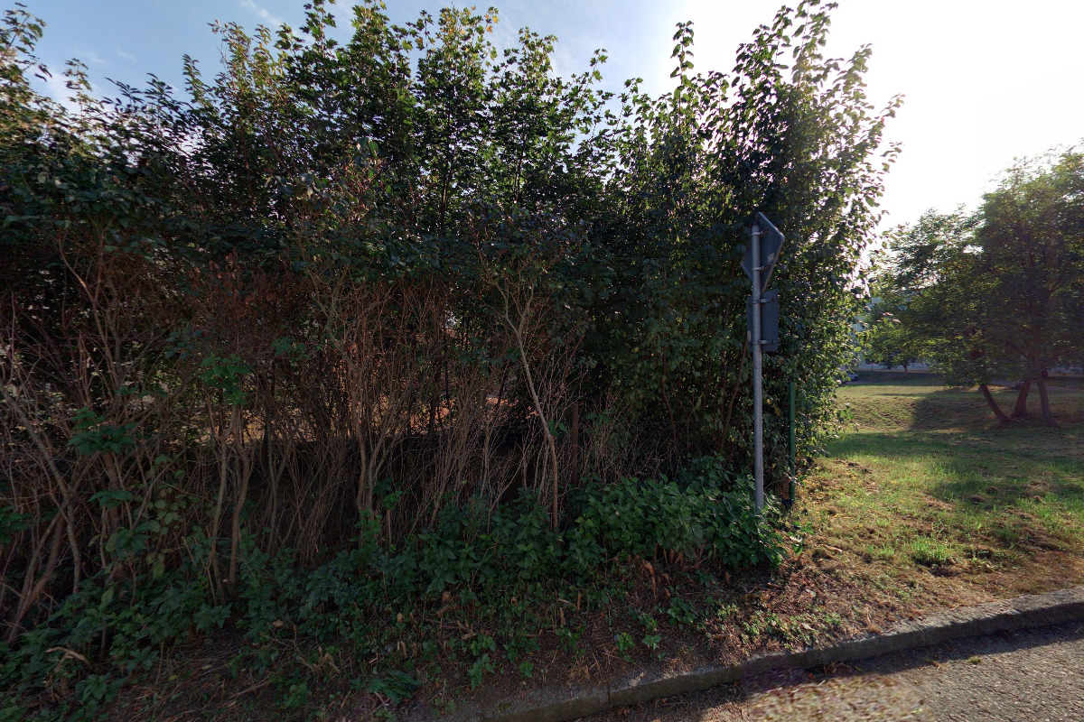 TJ TATRAN SEDLČANY foto 2