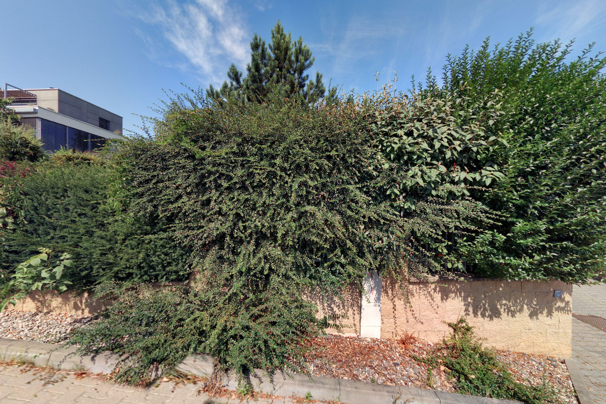 WILDBACH - EKO, s.r.o.