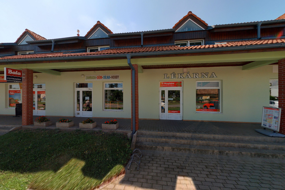 Hana Měchurová Květiny