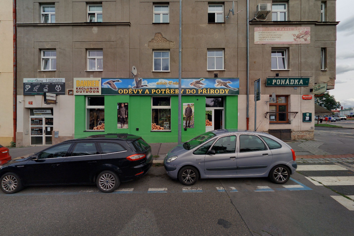 Kreativní zebra Harfa