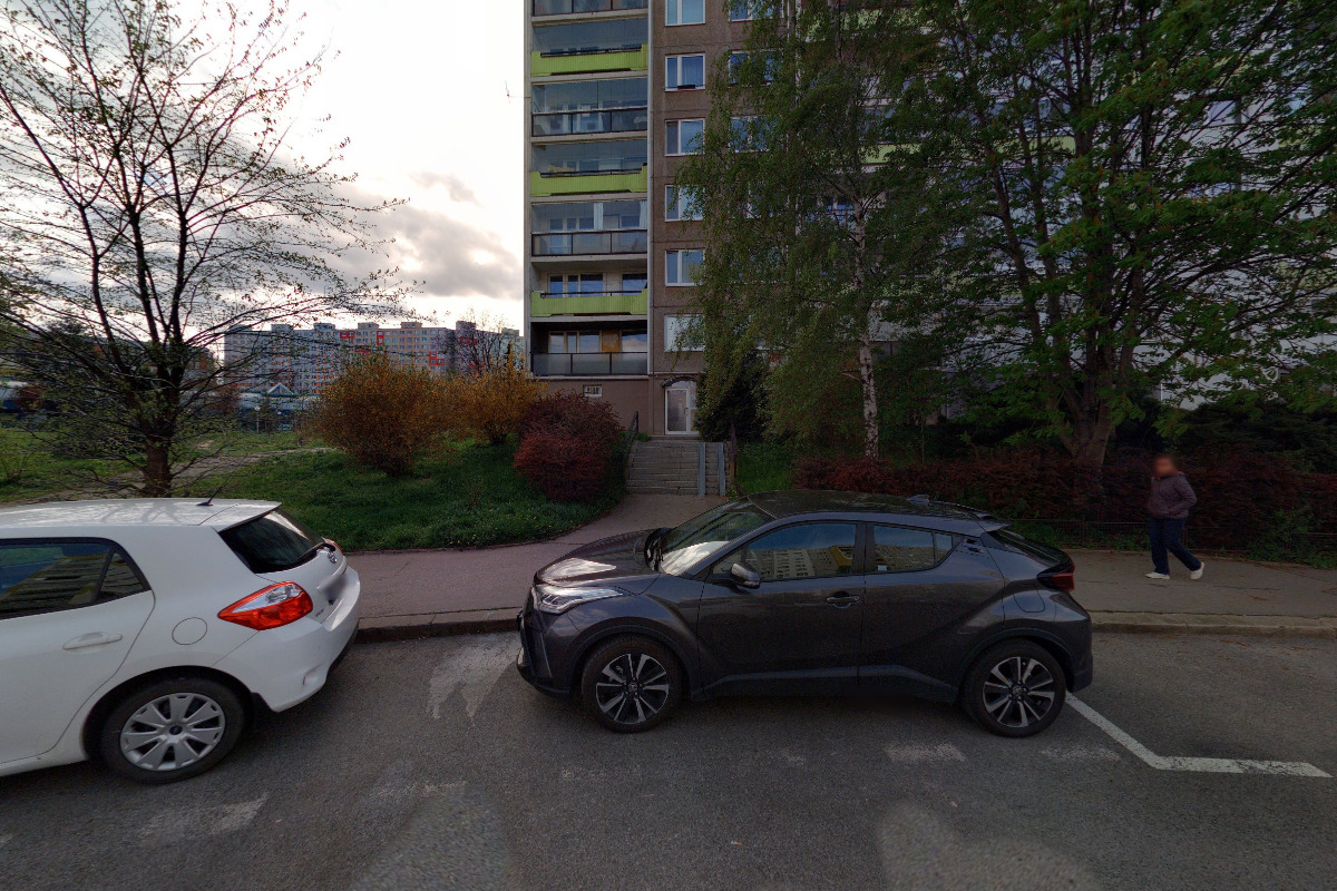 Robert Zlocha - psitrenink.cz foto 2