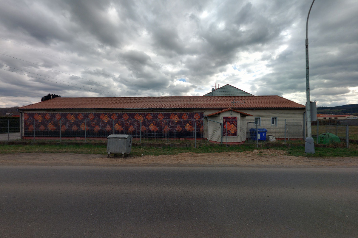 Nexus Body Center - wellness