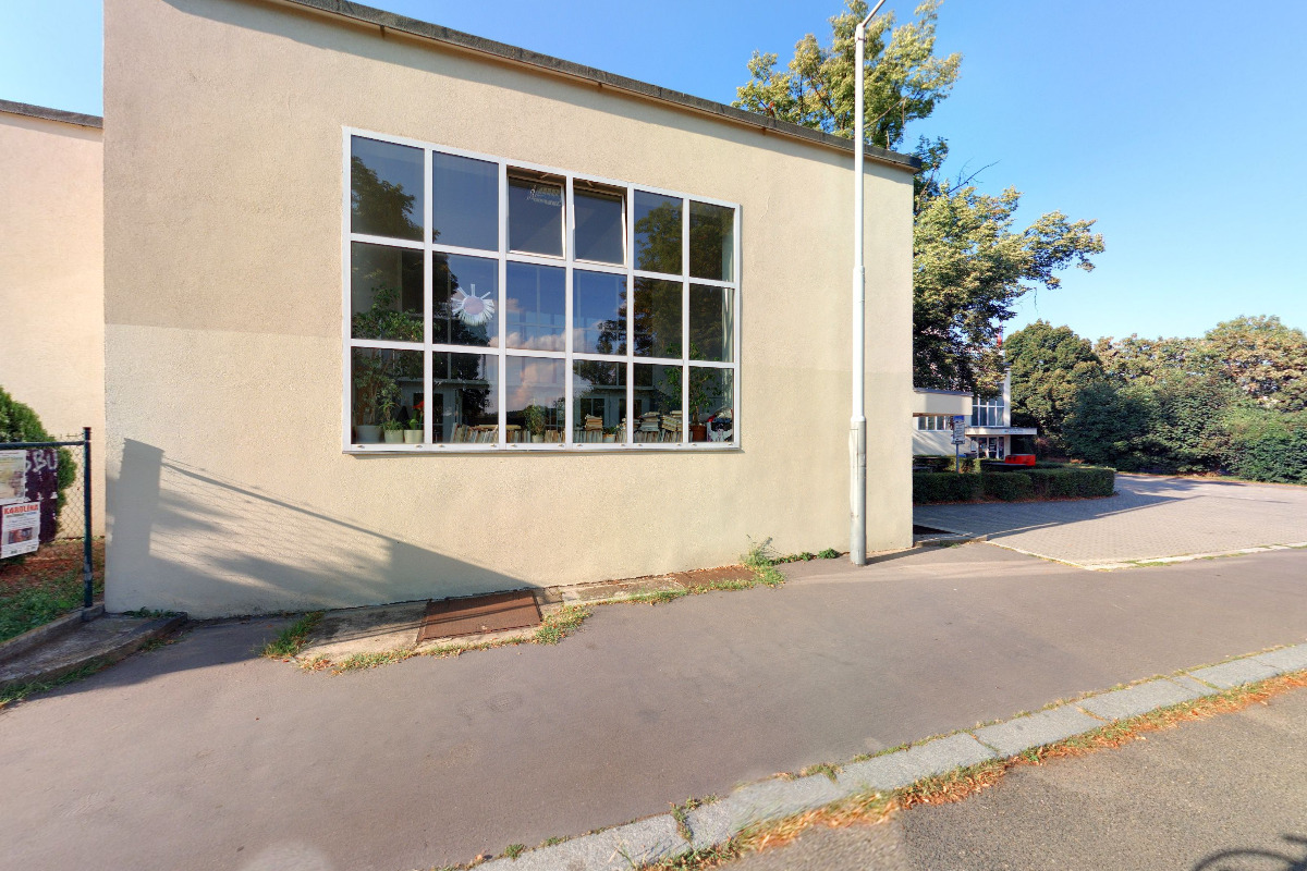 SK Triumf Praha, z.s. foto 5