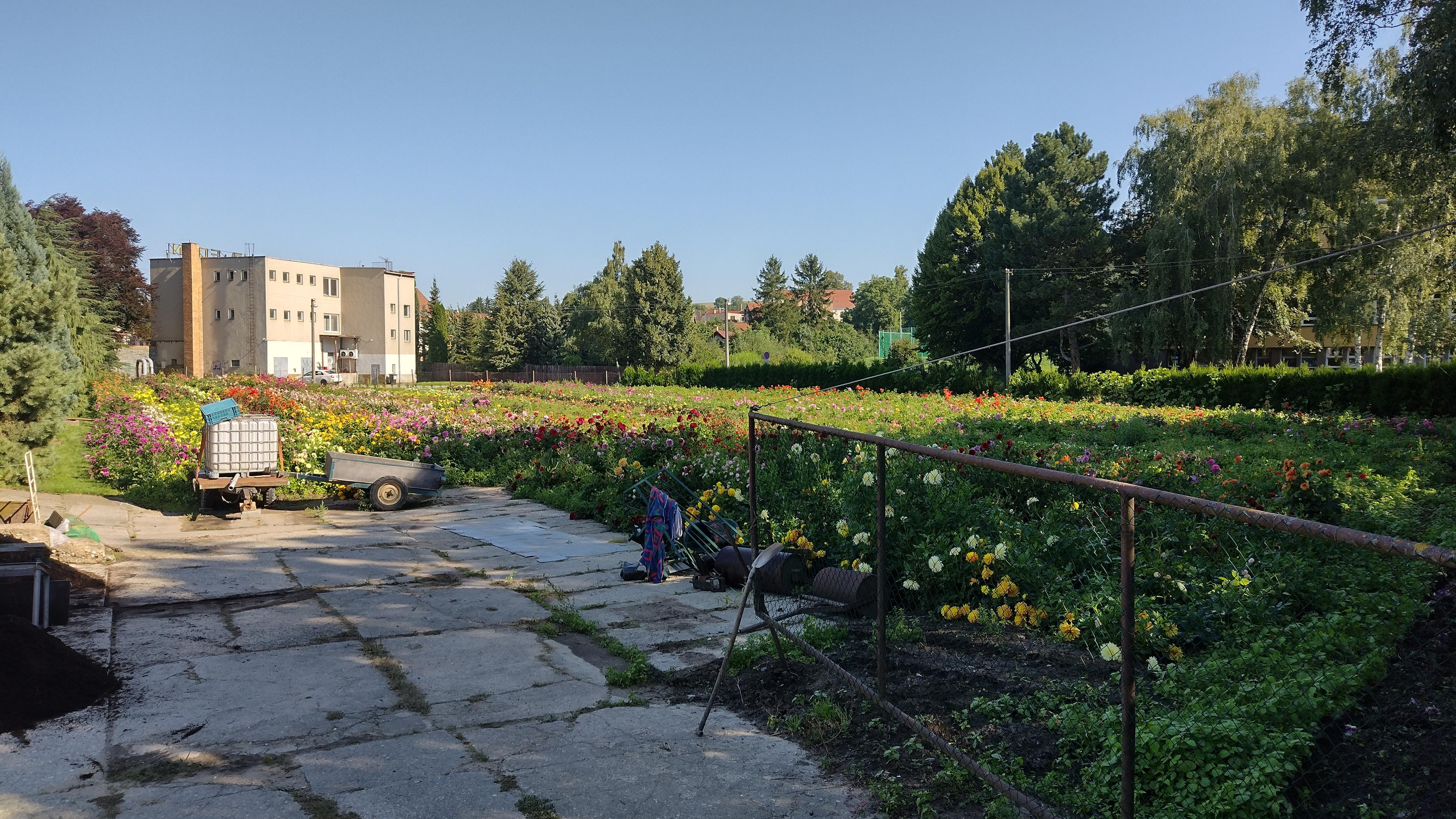 Langrovo zahradnictví foto 2