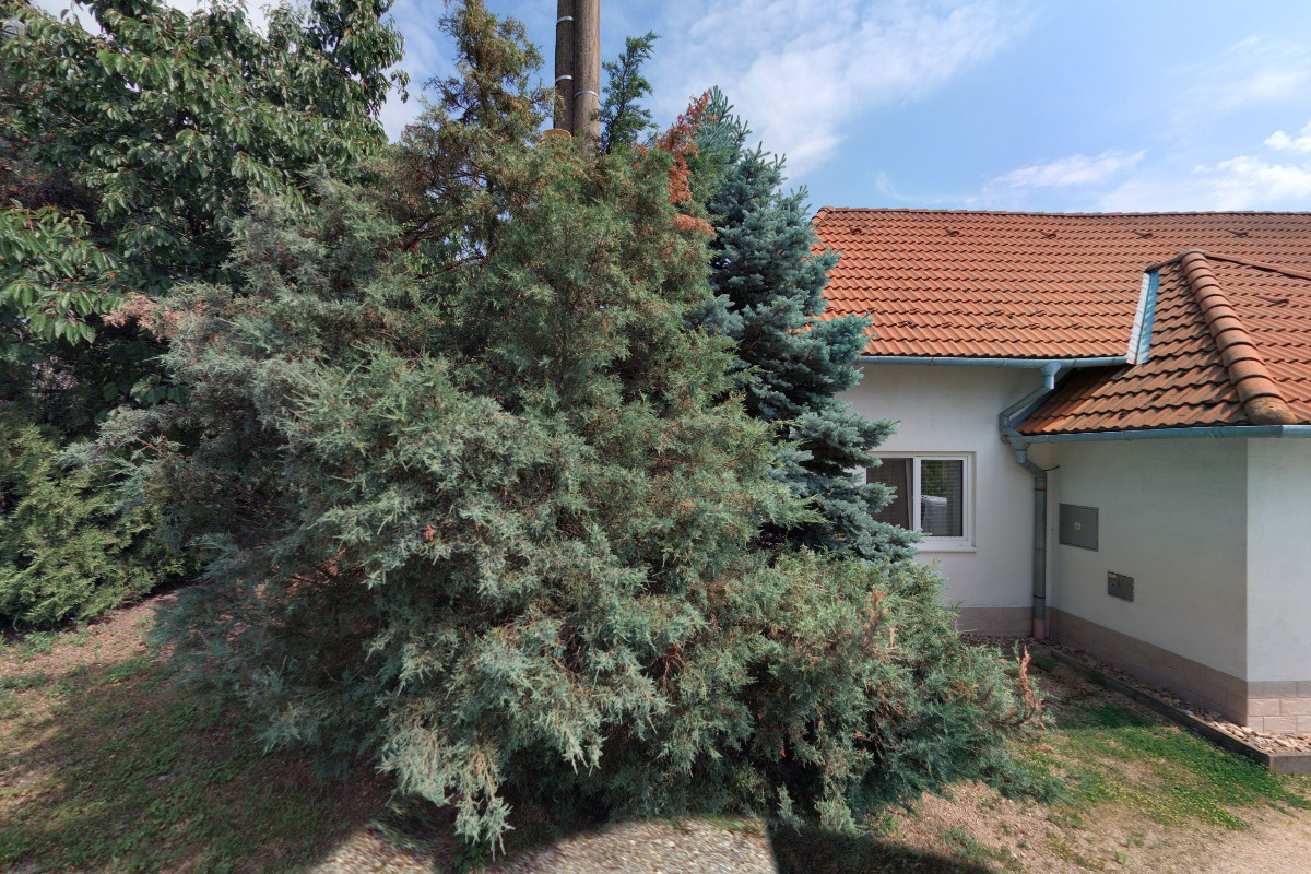 Ing. Oldřich Vlček