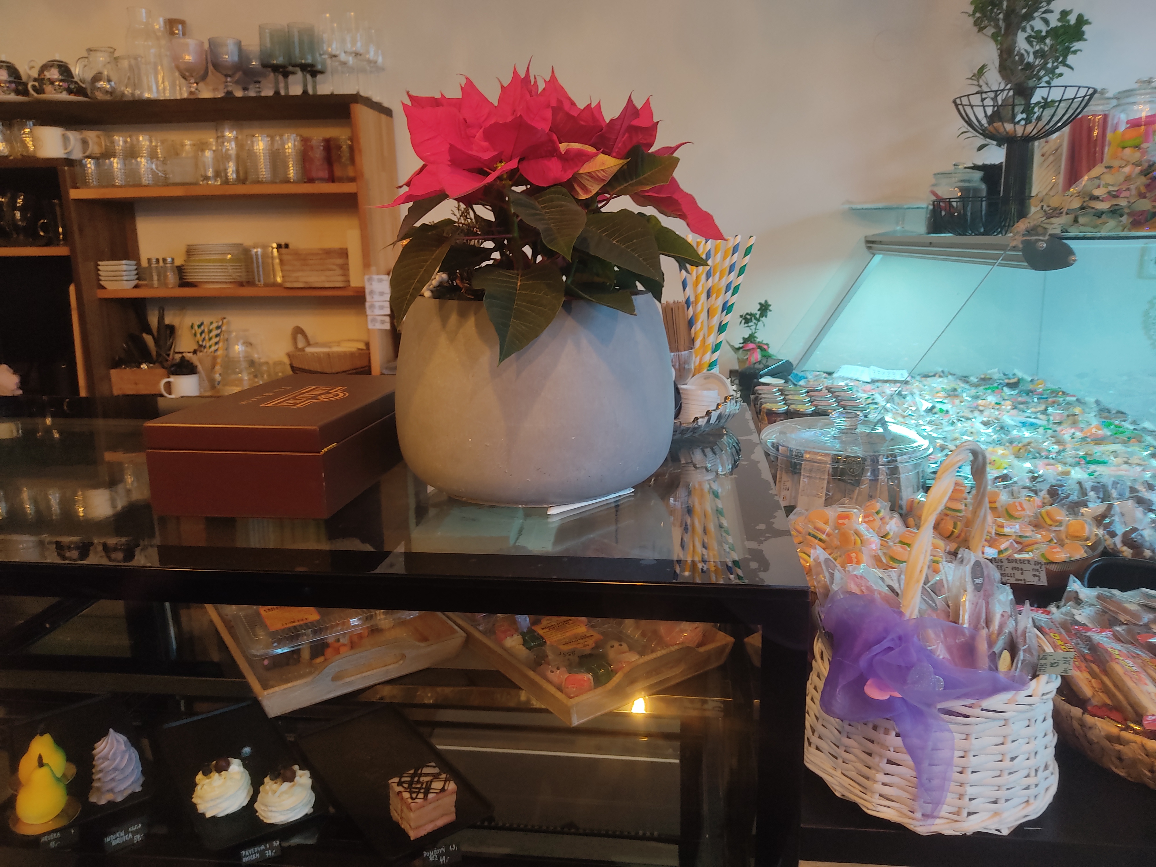 Cukrárna Pod Rozkvetlým Stromem foto 4