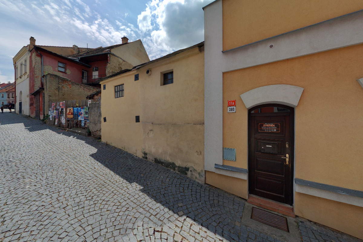 Zverex - Milan Novotný foto 2