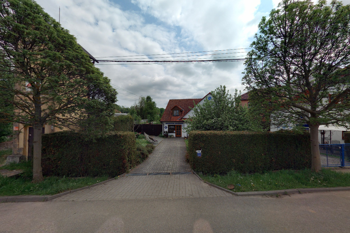 Modrotisk - Danzinger Jiří