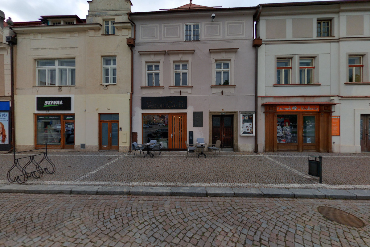 Kvítí na stonku - VeroniCa.Fe