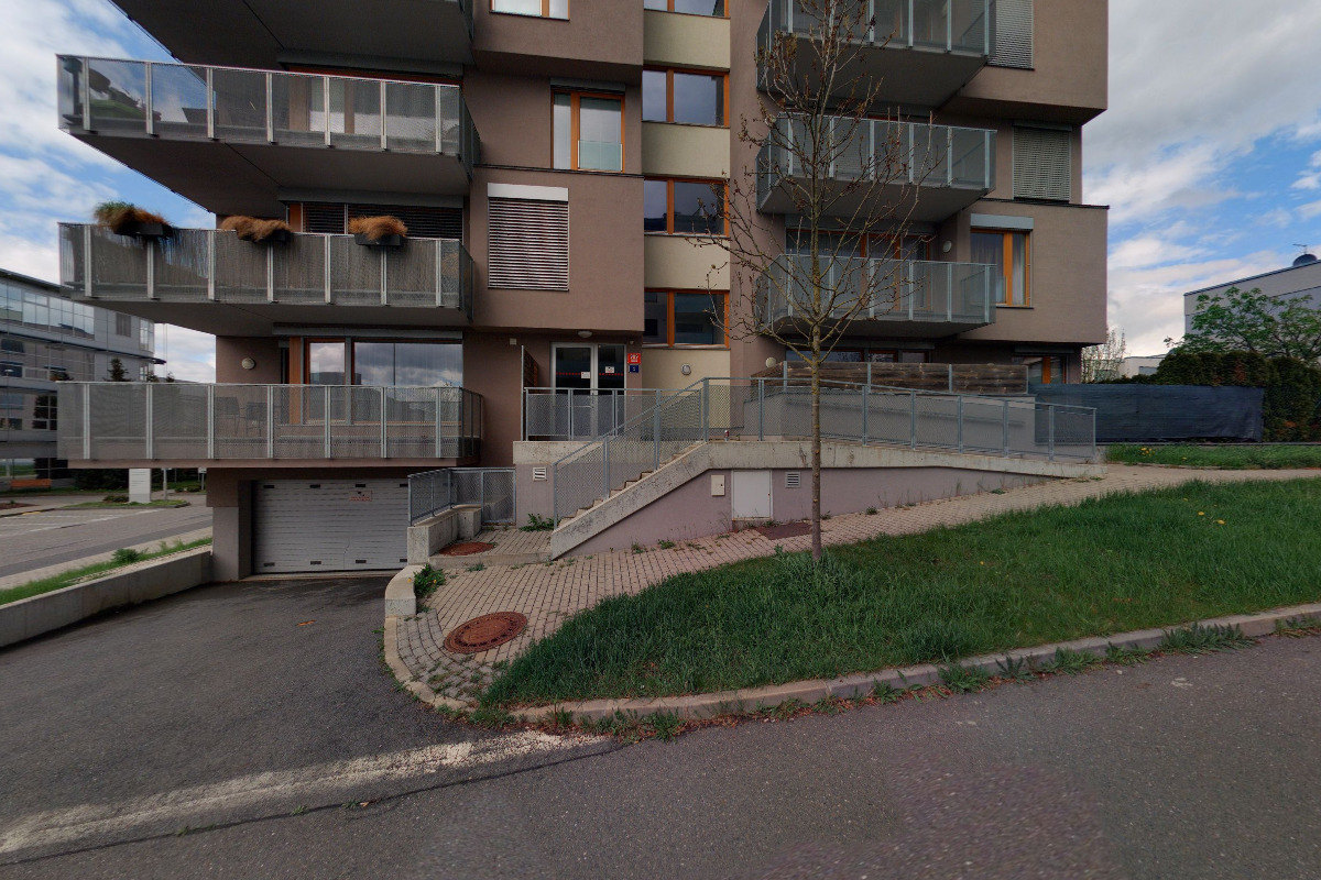 DOG CITY LIFE foto 2