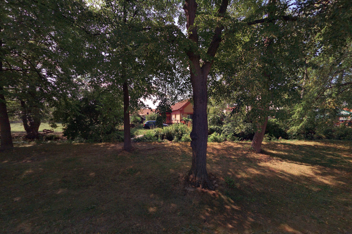 Jana Melichová - Obrazy koní foto 1